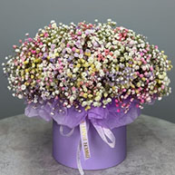 Цветы по акции